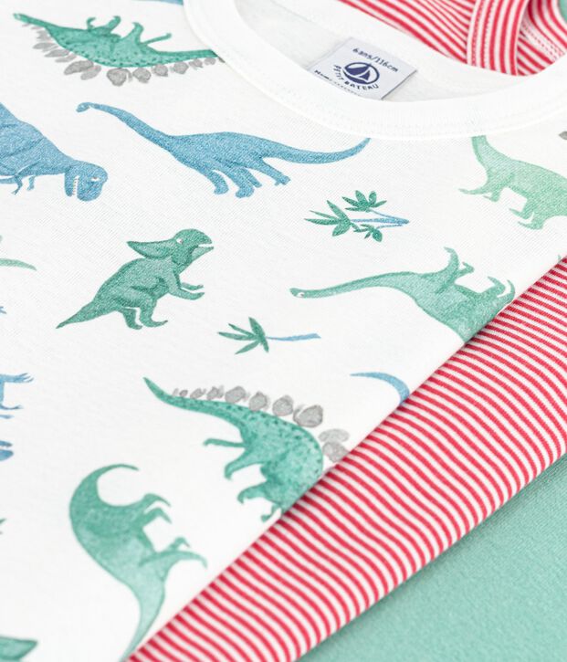 Lot de 3 tee-shirts enfant en coton manches courtes dinosaures multicouleur