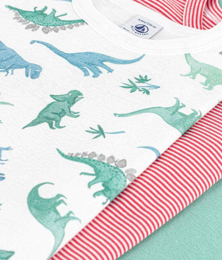 Lot de 3 tee-shirts enfant en coton manches courtes dinosaures multicouleur