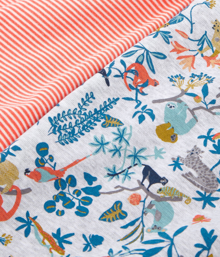 Set van 2 jongenshemdjes multicouleur