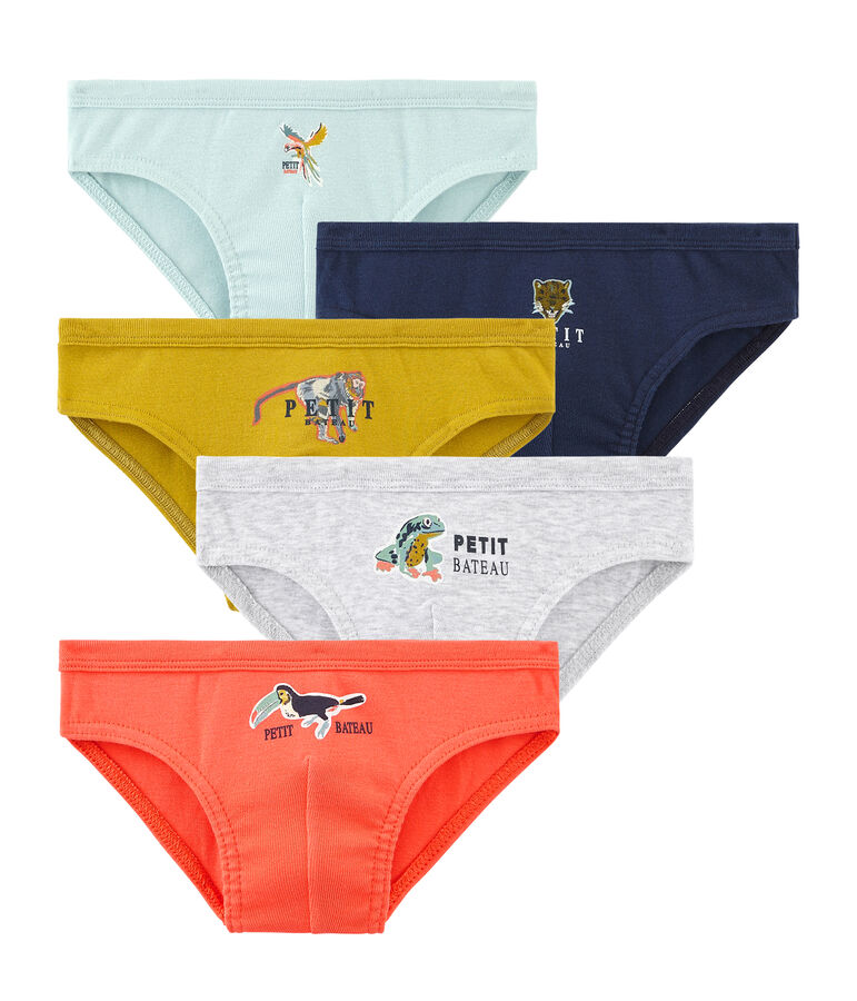 Lot de 5 slips petit gar&ccedil;on multicouleur