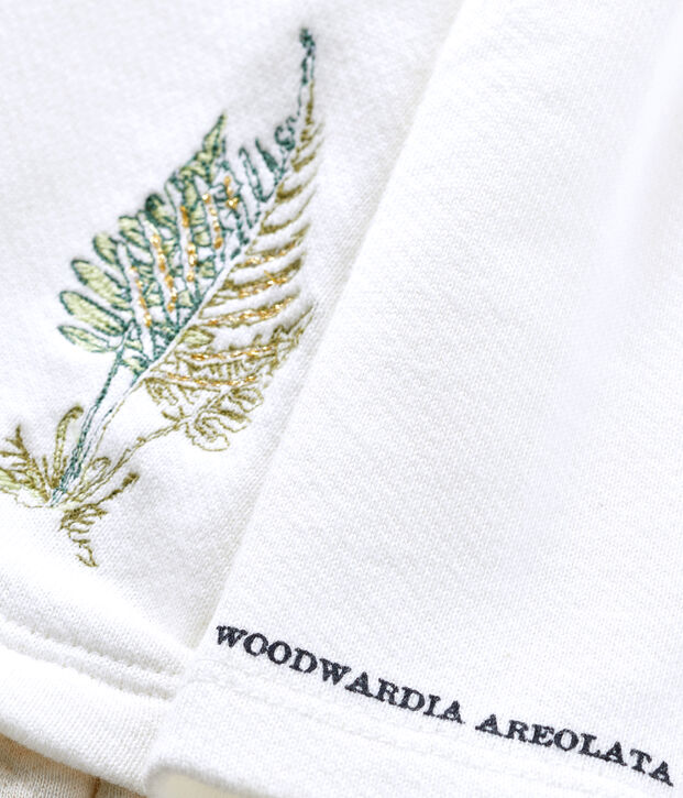 Petit Bateau x Deyrolle jurk voor babymeisjes wit