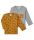 Lot de 2 tee shirts manches longues b&eacute;b&eacute; gar&ccedil;on