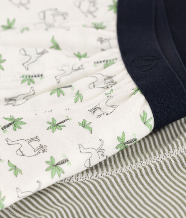 Set van 2 katoenen boxershorts met dromedarisprint voor jongens multicouleur