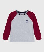 gris FUMEE/ AMARANTE