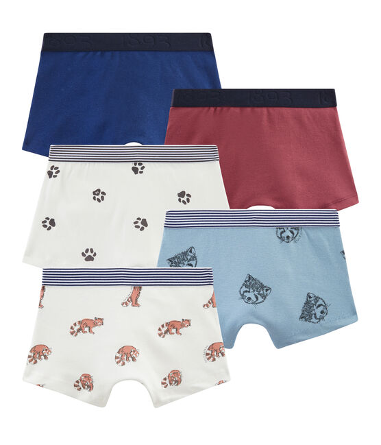 beeld luister Wortel Set van 5 boxers voor jongens variante 1 | Petit Bateau