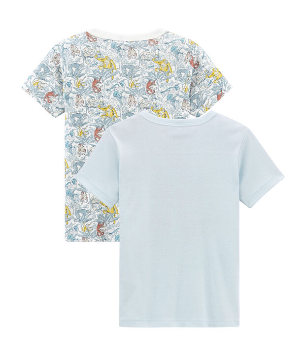 Duo de tee-shirts manches courtes petit gar&ccedil;on multicouleur