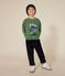 Sweatshirt in fleece voor jongens groen PALMERAIE
