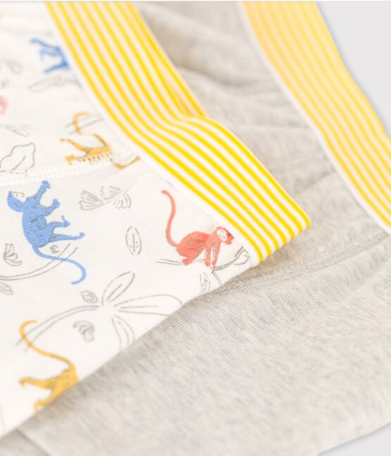 Set met 2 boxershorts voor jongens met aapjes in biokatoen variante 1