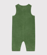 groen PALMERAIE