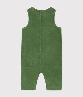 groen PALMERAIE
