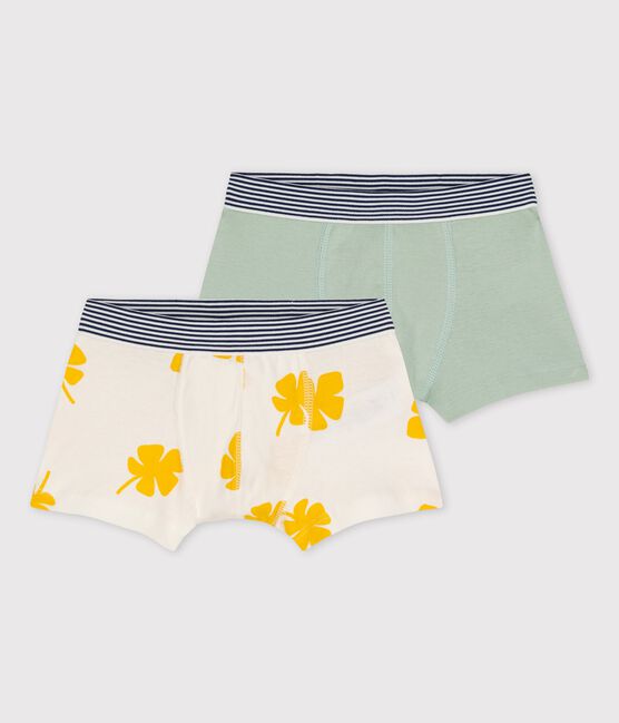 Vooruitzien eigenaar Slager Set van 2 boxershorts voor jongens met grote palmbomen in katoen variante 1  | Petit Bateau