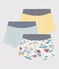 Lot de 3 boxers explorateur en coton petit garçon variante 1