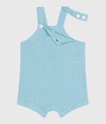 blauw AQUATIC