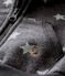 Sweatshirt à capuche bébé garçon imprimé noir CITY/gris GRIS
