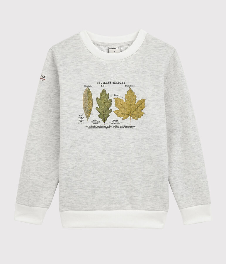 Sweatshirt enfant gar&ccedil;on Petit Bateau x Deyrolle beige MONTELIMAR CHINE