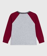gris FUMEE/ AMARANTE