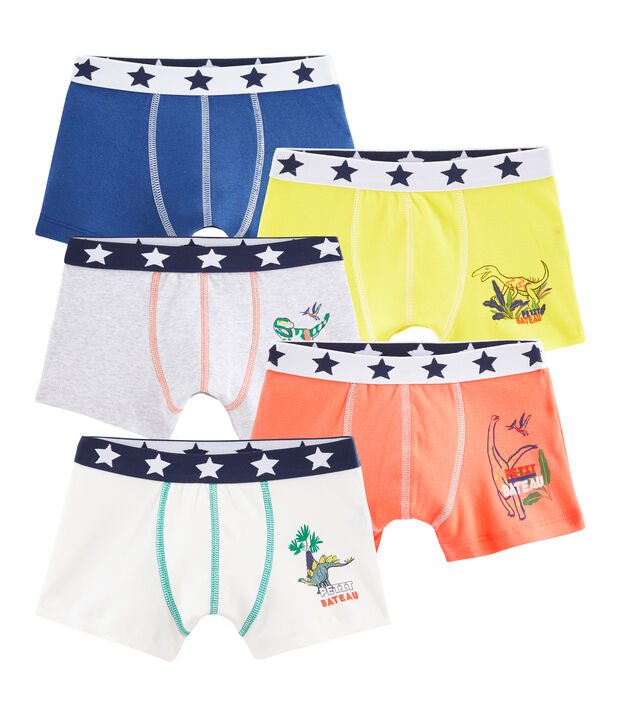 Set van 5 boxershorts voor jongens multicouleur