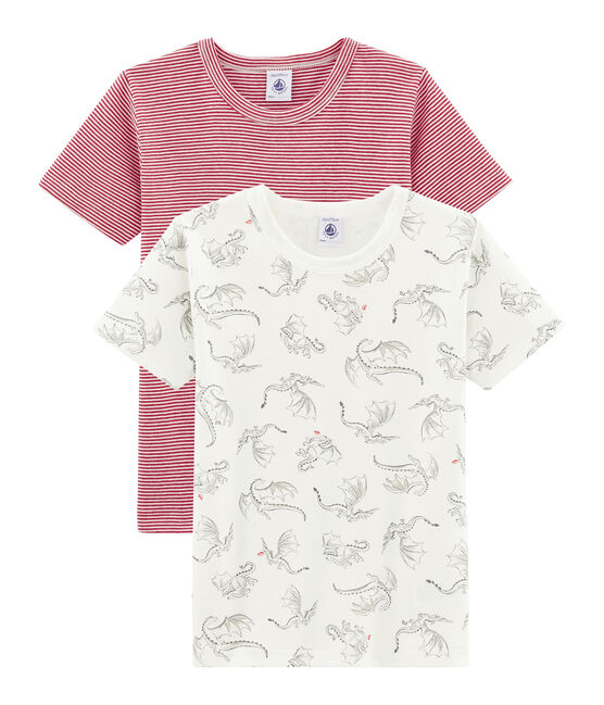 Duo de tee-shirts manches courtes petit garçon variante 1