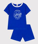 blauw PERSE