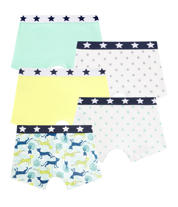 Lot de 5 boxers petit gar&ccedil;on multicouleur