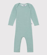 groen PAUL