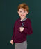 Tee-shirt à capuche enfant garçon violet CEPAGE
