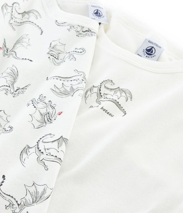 Duo de tee-shirts manches longues petit gar&ccedil;on multicouleur