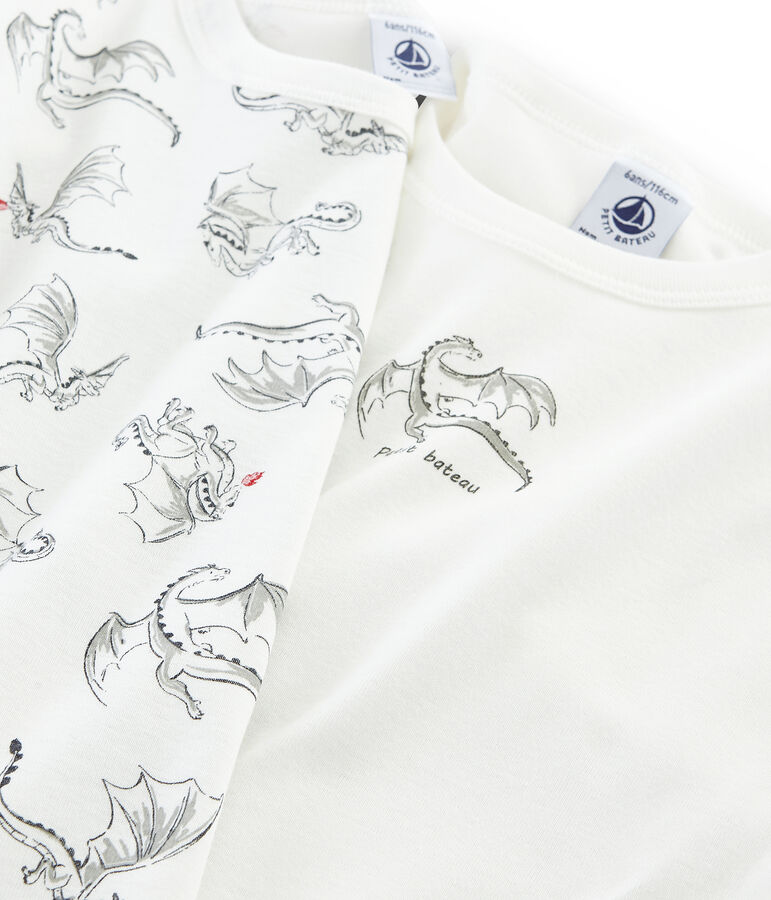 Duo de tee-shirts manches longues petit gar&ccedil;on multicouleur