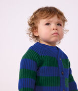 multicouleur/groen