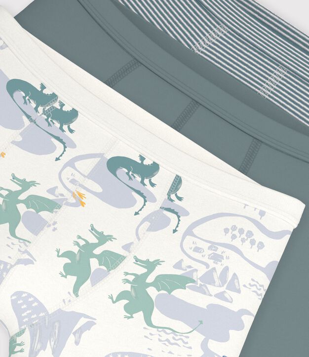 Setje met katoenen boxershorts met omhulde tailleband met drakenprint multicouleur