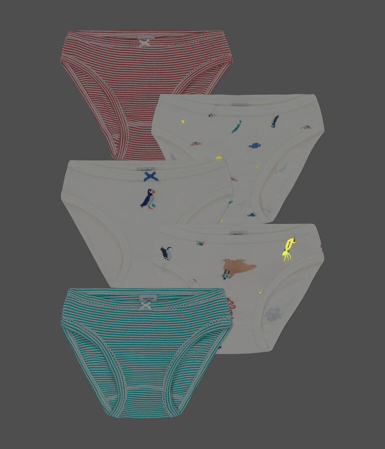 Lot de 5 culottes en coton petite fille multicouleur