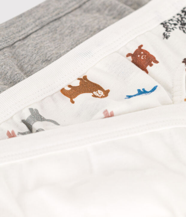 Lot de 3 slips chien en coton petit gar&ccedil;on multicouleur