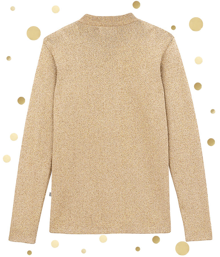 Pull marin iconique femme marron/jaune