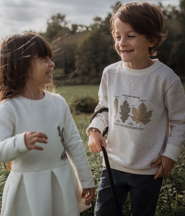 Bateau x Deyrolle sweatshirt voor jongen MONTELIMAR CHINE
