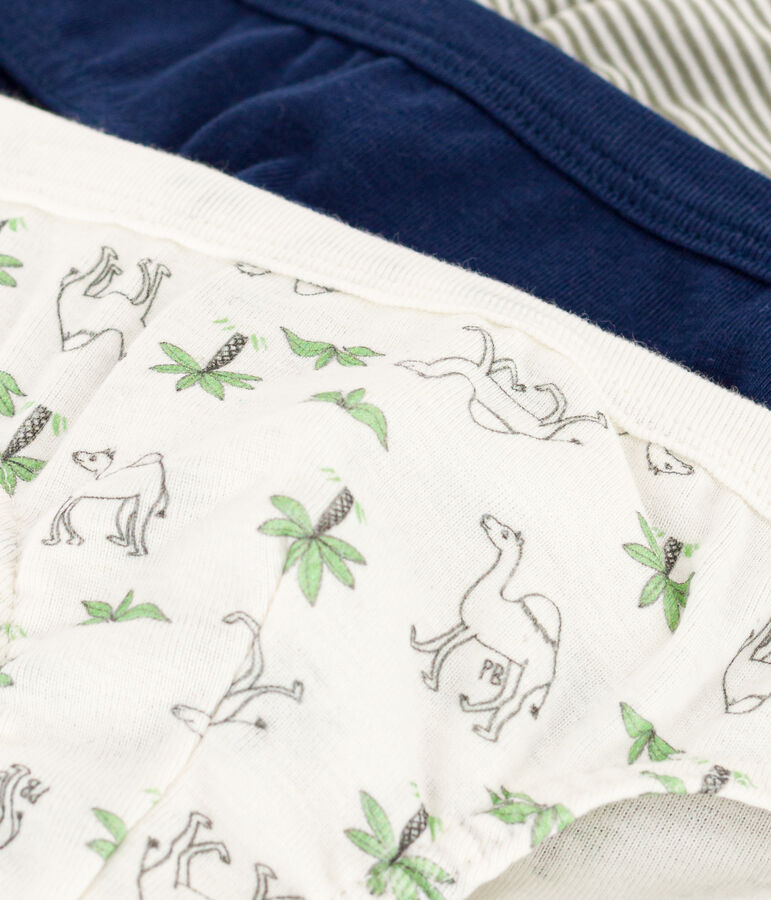 Set van 3 katoenen slips met dromedarisprint voor jongens multicouleur