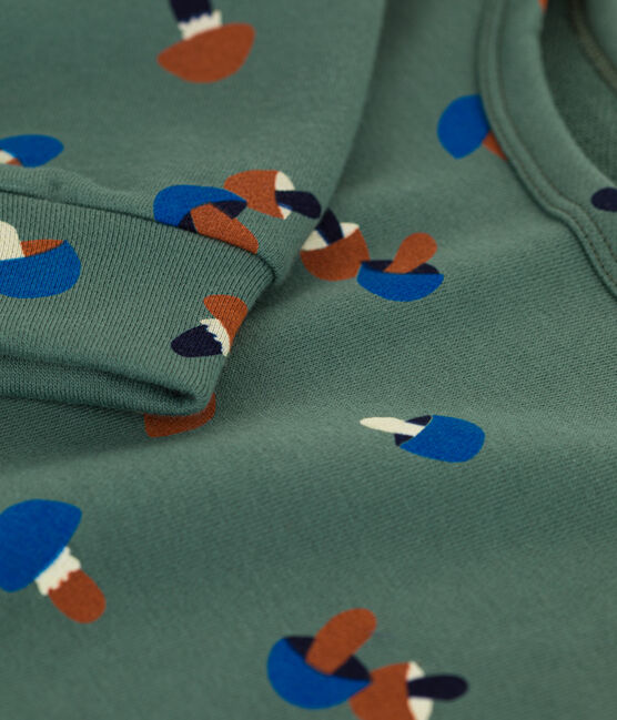 Sweater met print in molton voor jongens groen VALLEE/ecru MULTICO