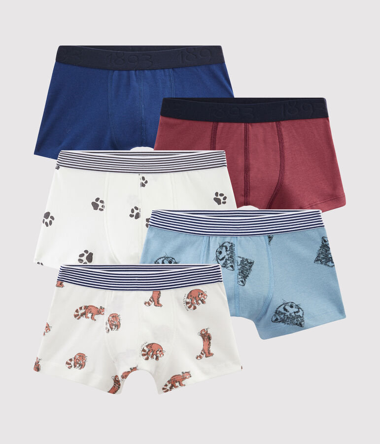 Lot de 5 boxers petit gar&ccedil;on multicouleur