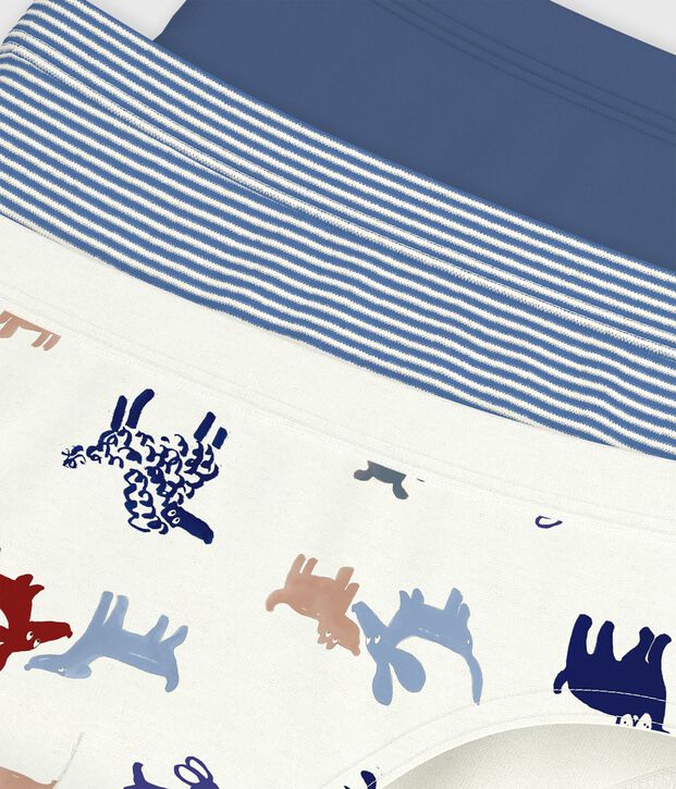 Lot de slips enfant en coton imprim&eacute; chiens multicouleur