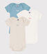 Lot de 3 bodies manches courtes 130 ans en coton
