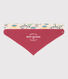 Set van 2 bandana's voor baby's