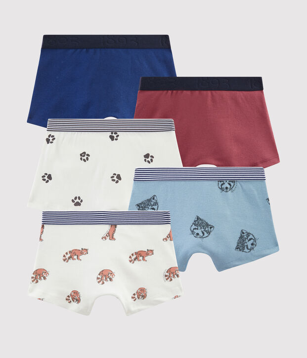 Lot de 5 boxers petit gar&ccedil;on multicouleur