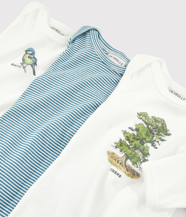 Lot de 3 bodies manches longues b&eacute;b&eacute; gar&ccedil;on Petit Bateau x Deyrolle multicouleur