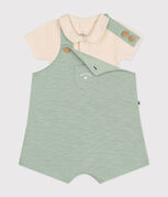 groen HERBIER