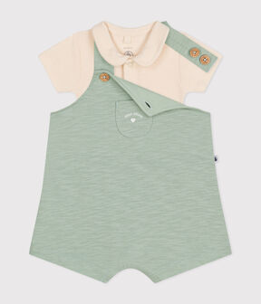 groen HERBIER