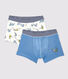Set van 2 jongens boxershorts met panterprint van biologisch katoen