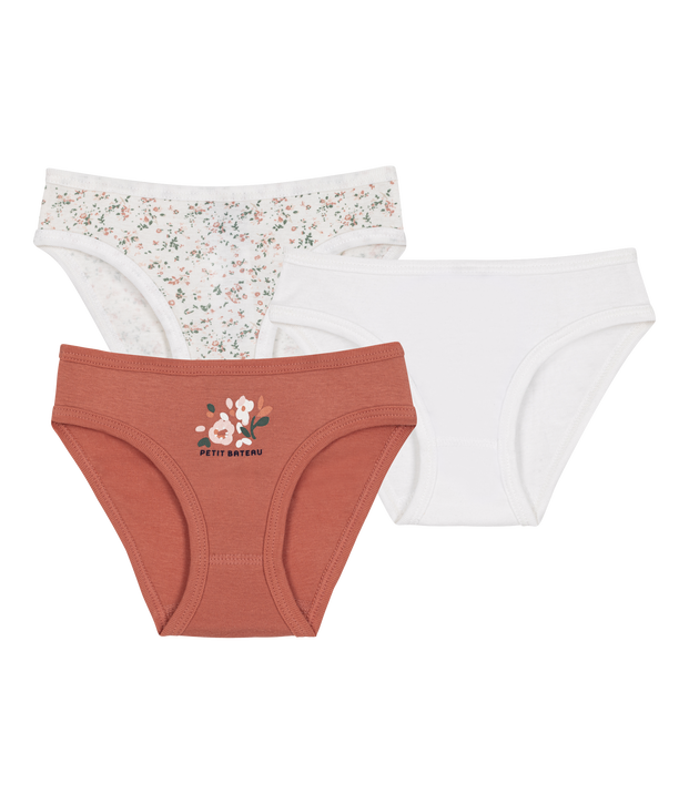 Lot de 3 culottes en coton multicouleur