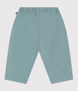 groen PAUL