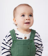 groen PALMERAIE