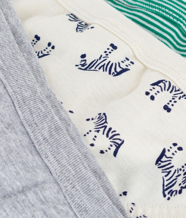 Lot de slips enfant en coton imprim&eacute; z&egrave;bres multicouleur