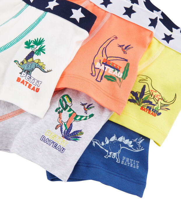 Set van 5 boxershorts voor jongens multicouleur